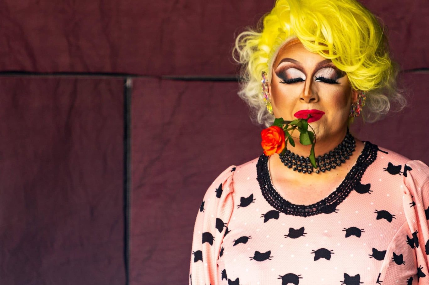 Marshall Arkley - 2024 Person with bright yellow hair holds a rose in their mouth, wearing a pink outfit with cat patterns.